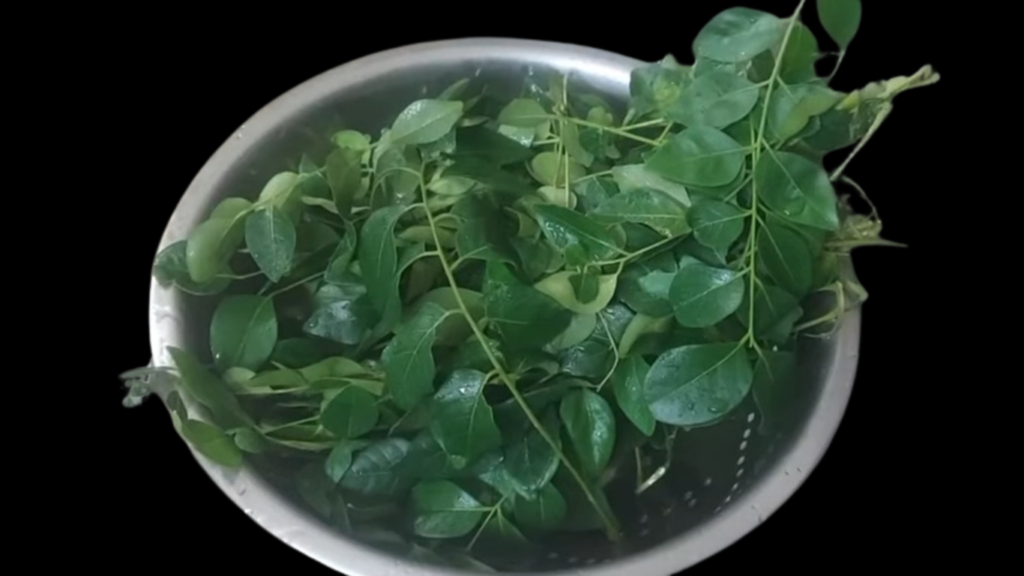 curry leaves rice