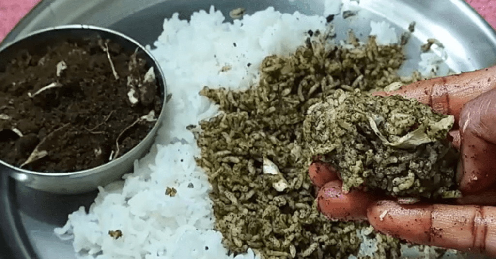 curry leaves and sesame powder recipe