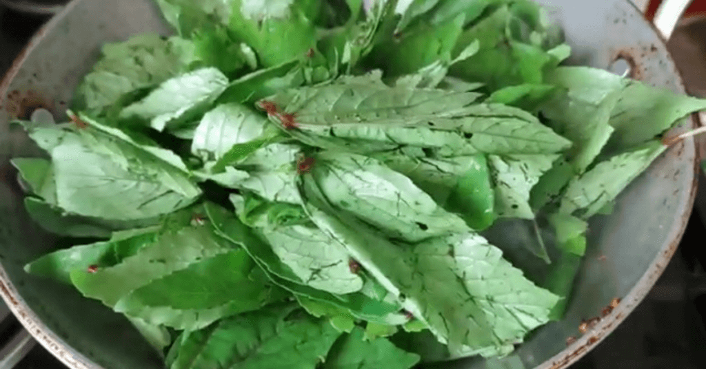 gongura chutney